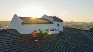 Best Skylight Installation and Repair  in Goliad, TX